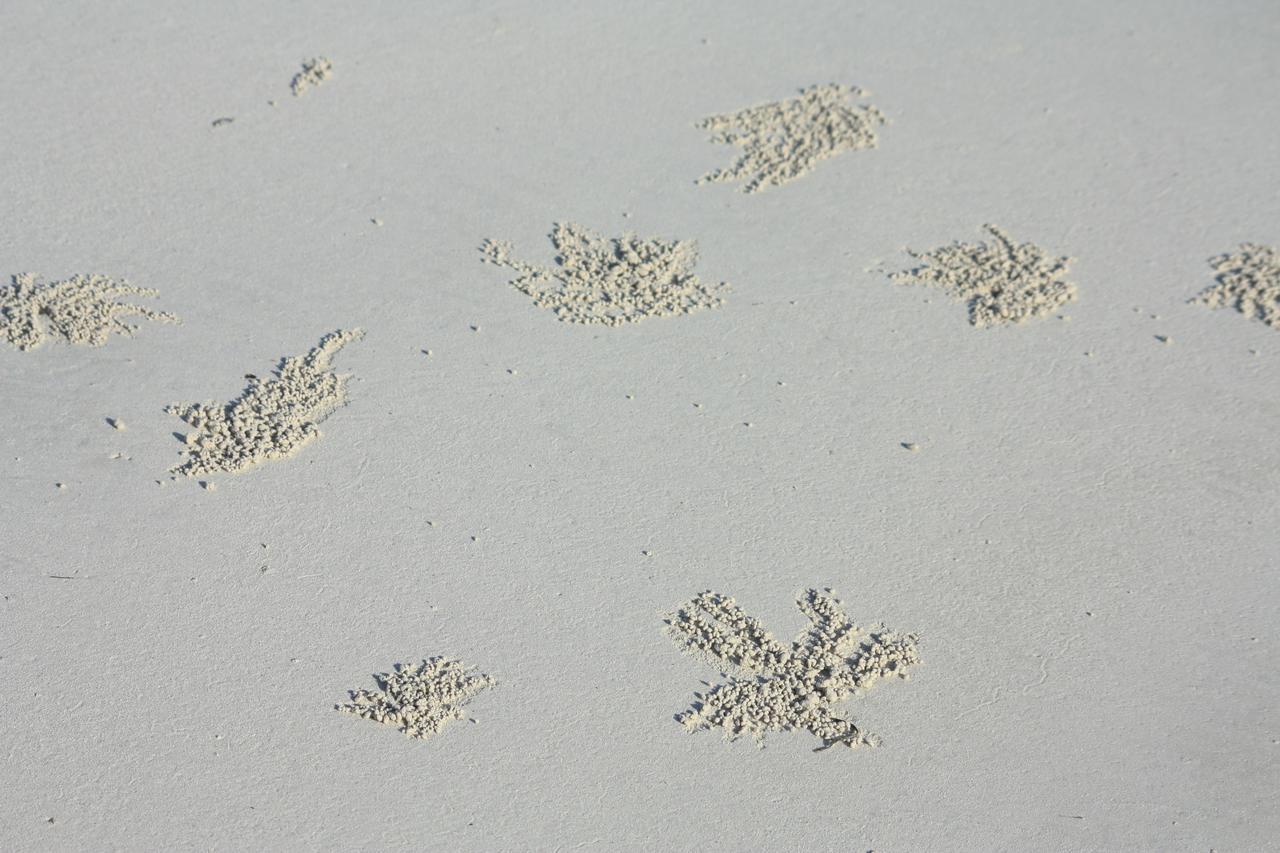 Villa Galu Tulivu Gazi Esterno foto